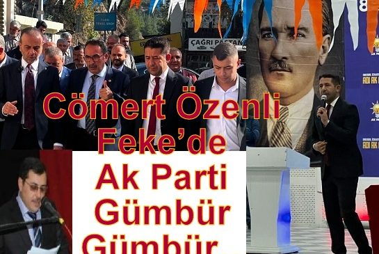 Cömert Özen’li Feke’de Ak Parti Gümbür Gümbür…